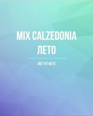 CALZEDONIA лето mix - Сток оптом